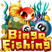 Câu Cá Bingo iwn